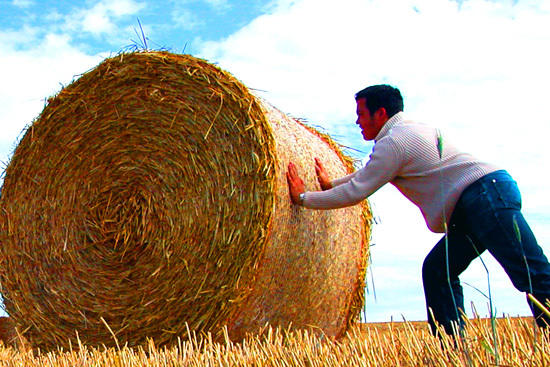 Kraftakt für die Umwelt: Schon zum achten Mal in Folge konnte die Freie Universität ihren Energieverbrauch reduzieren