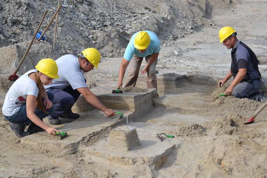 Die ältesten menschlichen Zeugnisse Brandenburgs fanden Paläontologen der Freien Universität Berlin und Archäologen des Brandenburgischen Landesamtes für Denkmalpflege und Archäologisches Landesmuseum bei einer Grabung in der Nähe von Cottbus.