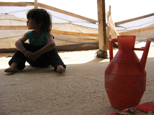 Water scarcity, as here in the Negev desert in Israel, is one of the central problems in the Middle East. An equitable distribution of resources could contribute to peace in the region, says Avi Gottlieb.