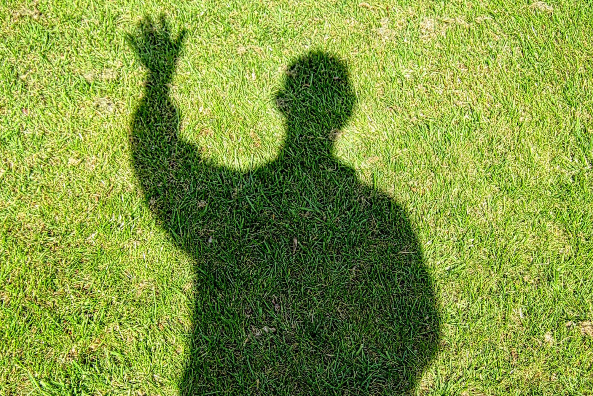 Freund oder Feind? Zu Beginn ist Neues immer fremd. In der Literatur ist der Versuch, im Vertrauten das Fremde zu entdecken und im Fremden Vertrautes zu suchen, ein verbreitetes Motiv.