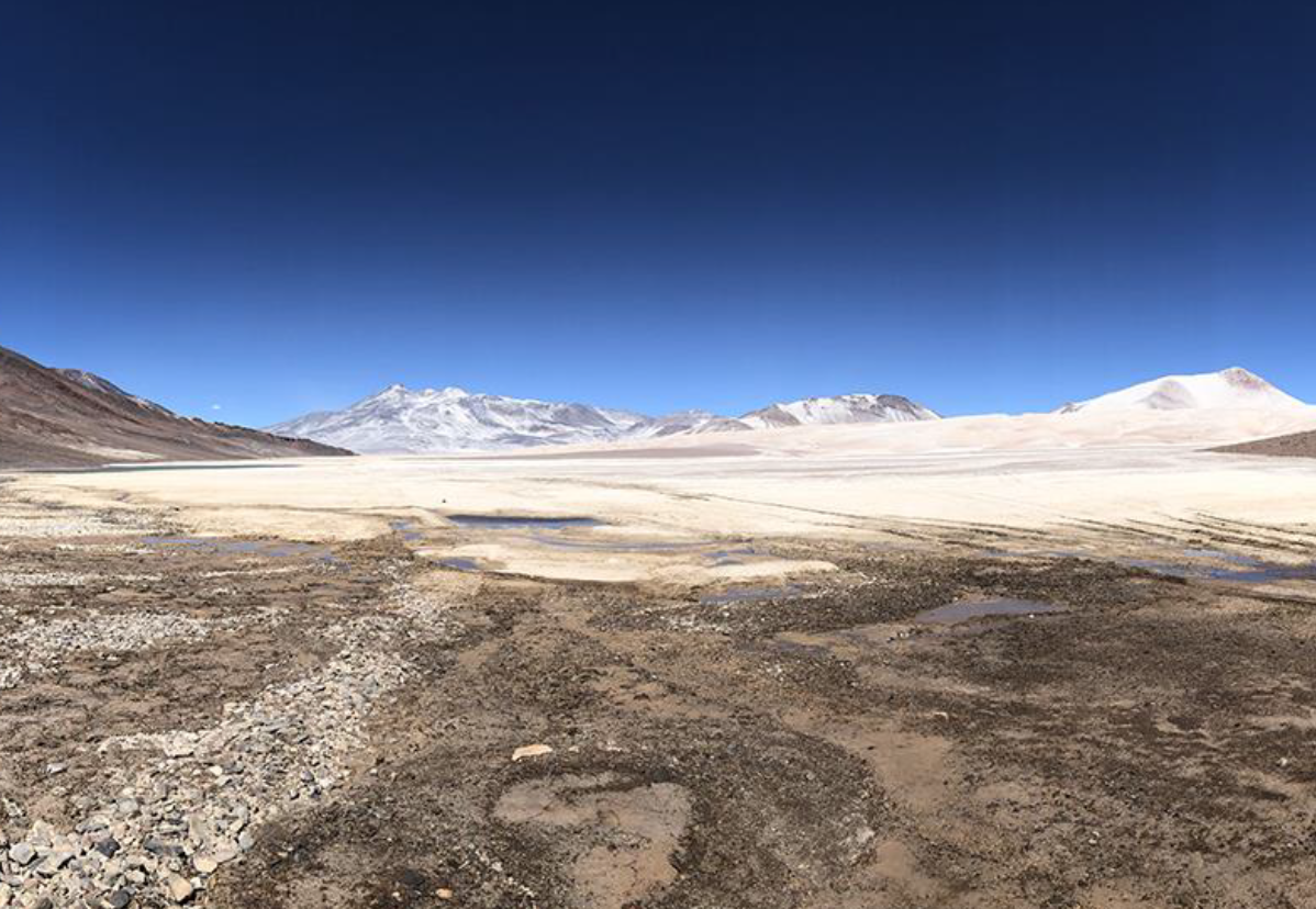 In Bergen und Wüsten, Ozeanen und Flüssen gibt es fast unsichtbare Kleinstlebewesen, die etwa bewirken, dass der Boden für Pflanzen fruchtbar wird. Ihren Einfluss auf unseren Planeten erläutern BAM und Freie Universität in einer Vortragsserie.
