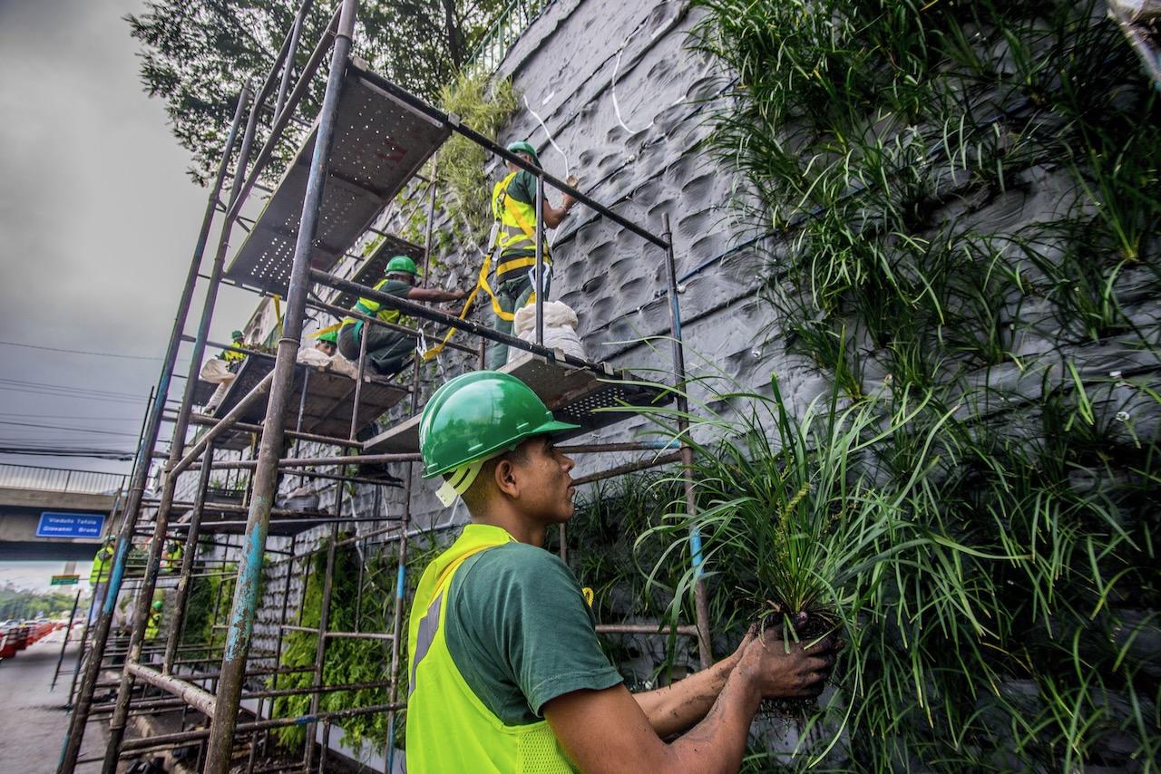 Beim Anpflanzen der grünen Korridore