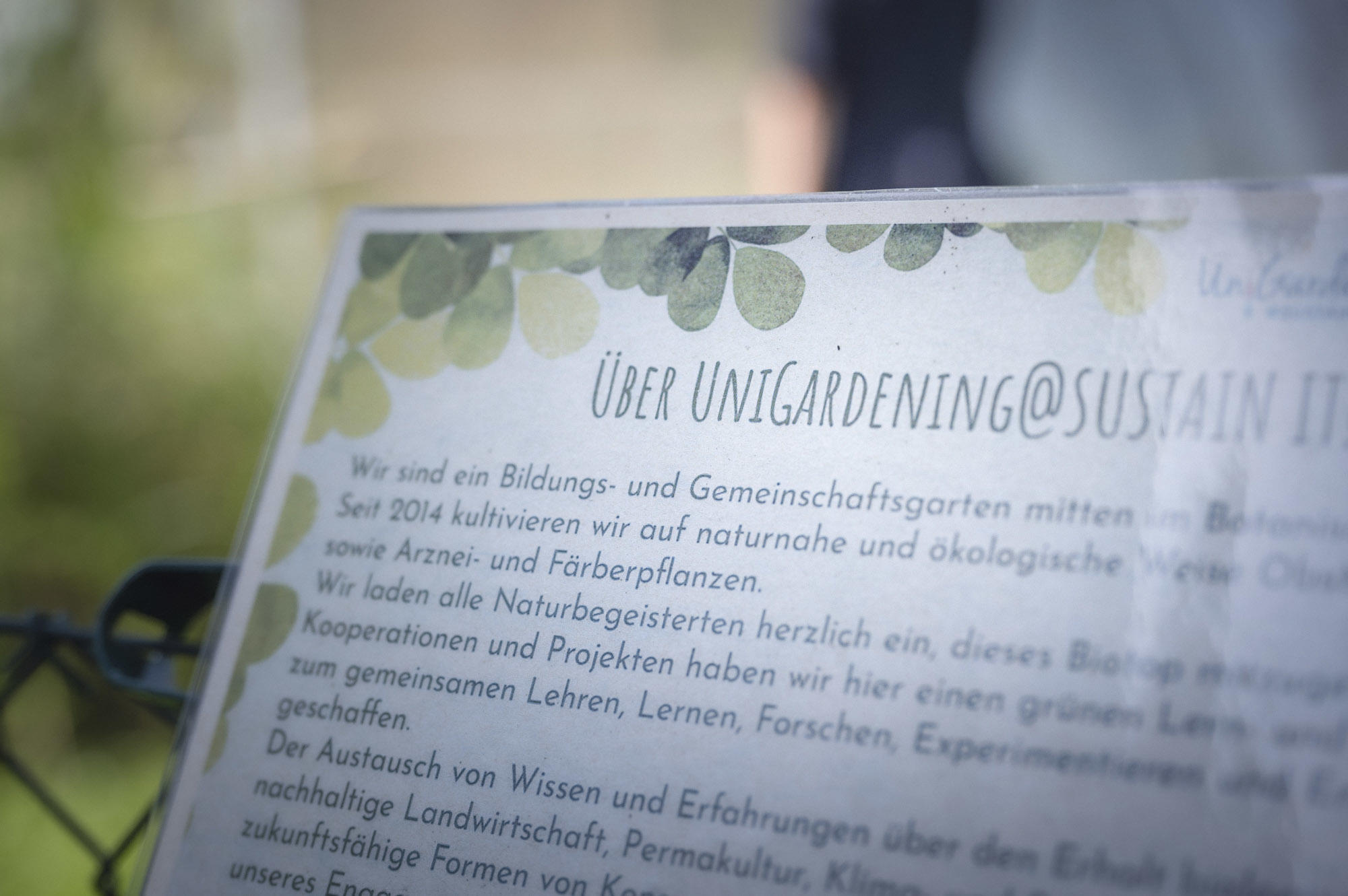 Gärntern, Helfen, Ernten: gelebte Nachhaltigkeit