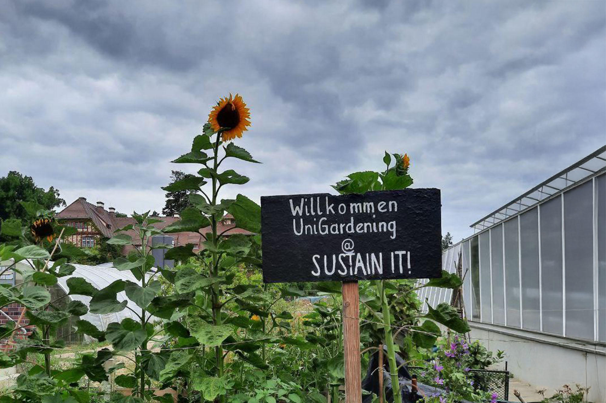 Mitmachen und sich engagieren bei der SUSTAIN IT