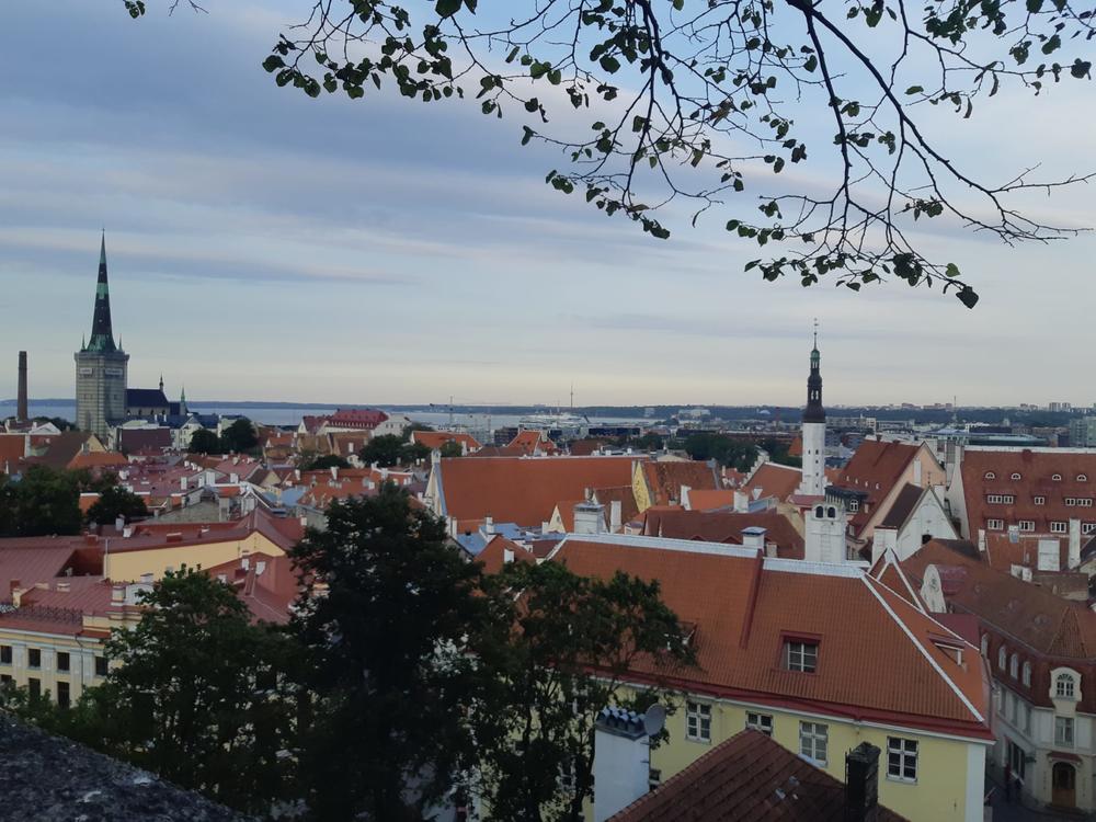 Das Panorama der Tallinner Altstadt.