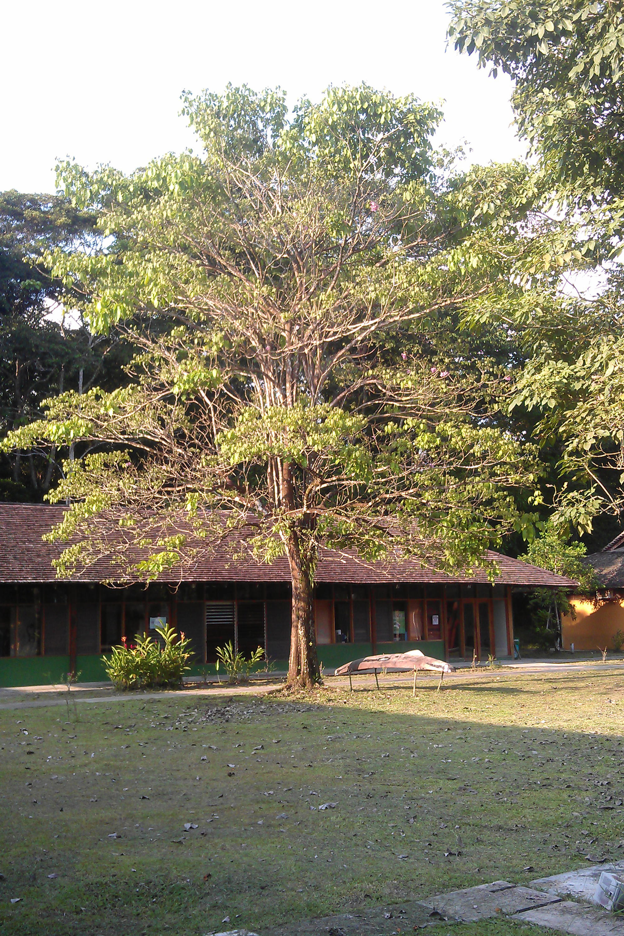 In diesem Universitätsgebäude in Leticia unterrichtete Markus Rauchecker kolumbianische Studierende.