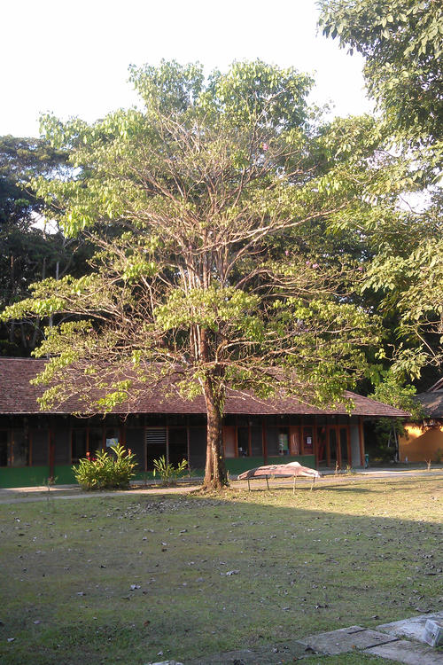 In diesem Universitätsgebäude in Leticia unterrichtete Markus Rauchecker kolumbianische Studierende.