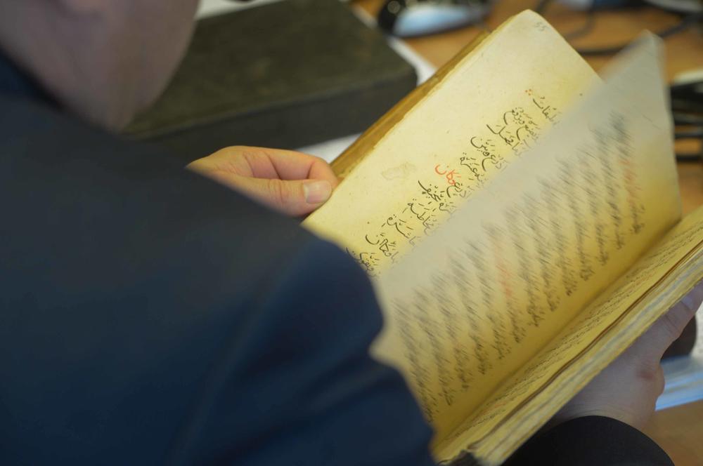 The curriculum for Arabic studies includes history and literature.