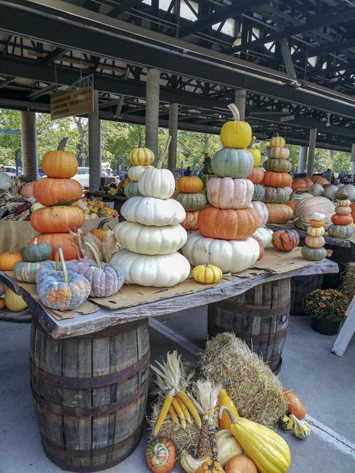 The farmers’ market in Nashville is for producers only, which means the merchants can only sell products that they planted, harvested, or baked themselves.