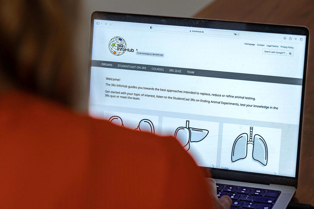 3Rs Info Hub Startseite auf einem Laptop