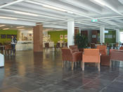 Cafe and open study area