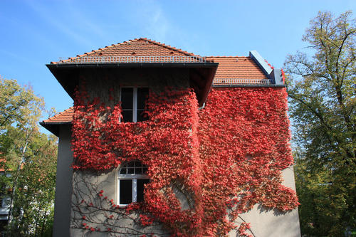 The doctoral degree program at the Graduate School of North American Studies (GSNAS) builds on the well-established structures of the Kennedy Institute for North American Studies.