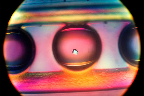 Mehrere Exzellenzcluster und Graduiertenschulen sind im Exzellenzwettbewerb des Bundes und der Länder im Jahr 2007 ausgezeichnet worden.