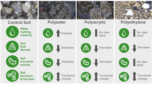 Studienergebnisse © Machado AAS