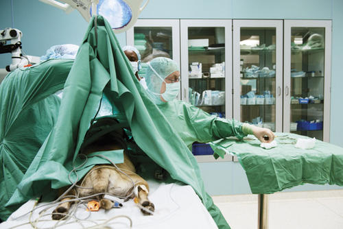 Große und kleine Patienten werden in der Kliniken am Standort Düppel behandelt.