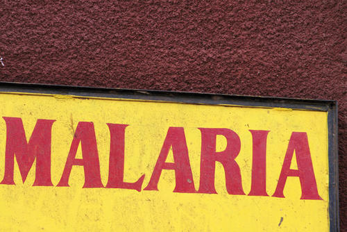 Eigentlich war es für Professor Peter Seeberger „nur“ Grundlagenforschung zur Synthese von Kohlenhydrate, geworden ist es aber ein Spezialgebiet für Malaria-Impfstoffe.