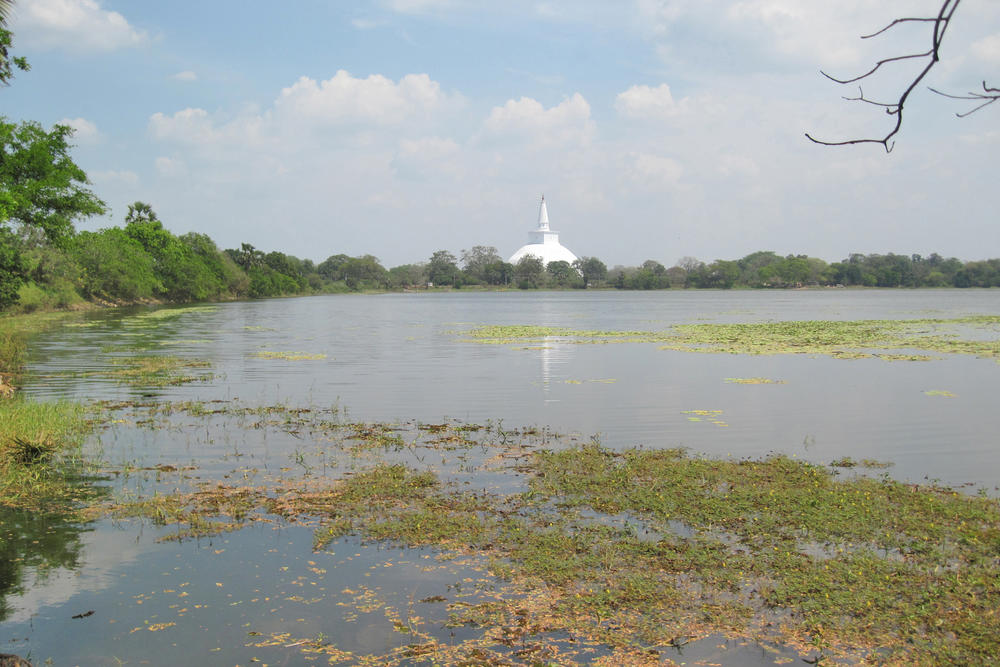 Die schneeweiße Stupa Ruwanwelisaya, ein buddhistisches Bauwerk in der heiligen Stadt Anuradhapura in Sri Lanka, ist ein architektonisches Meisterwerk.