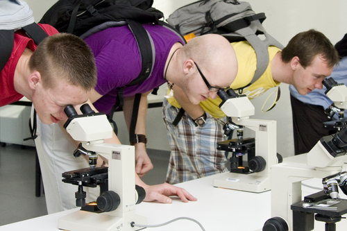 Blick in die Forschung: Besucher der Langen Nacht erwarten mehr als 500 Veranstaltungen, darunter dribbelnde Roboter, dampfende Chemieexperimente oder auch akrobatischer Kampfsport.