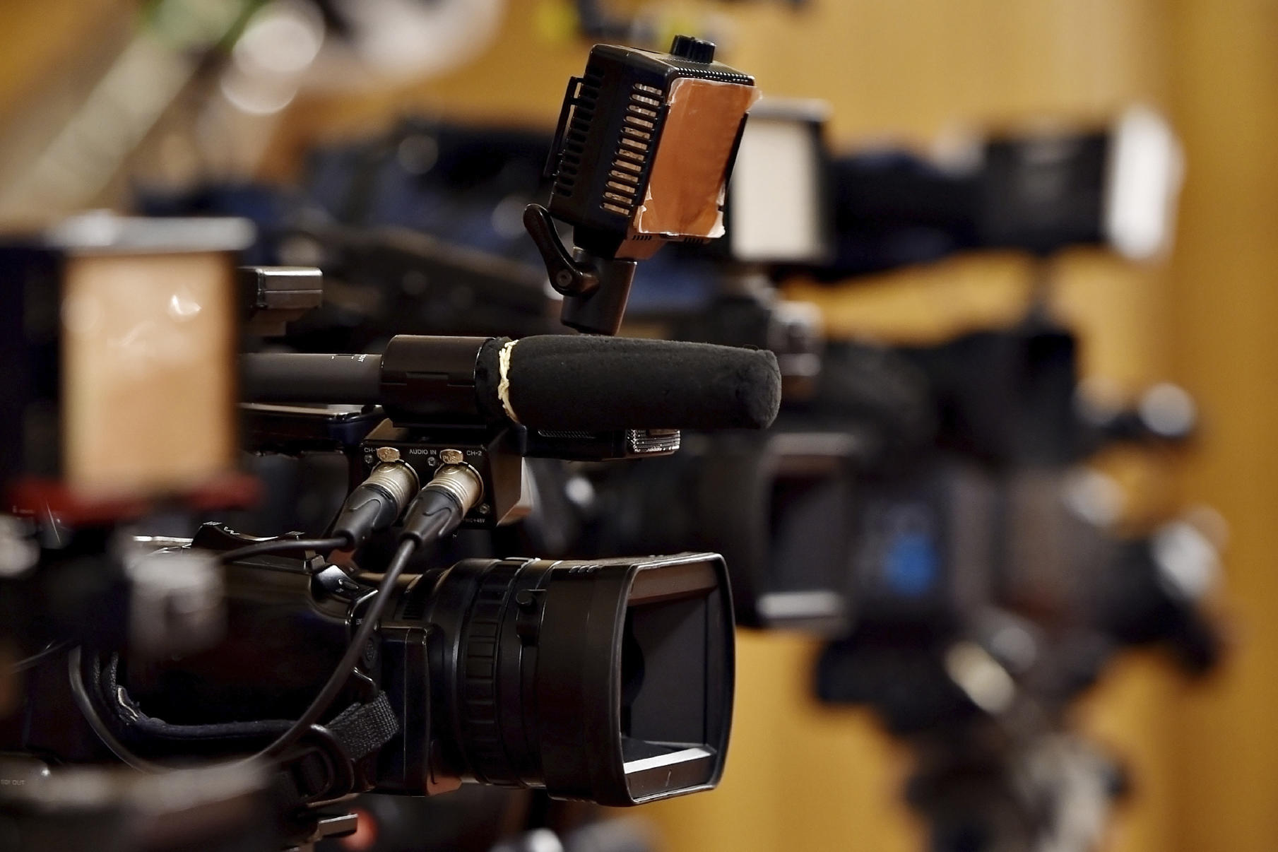 Im Visier der Medien: Populisten und Rechtsextreme - die ihrerseits die Medien angreifen. Der Presse wird oft die Rolle der "vierten Gewalt" im Staate zugeschrieben.