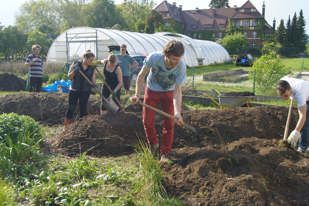 Grüner Lern- und Begegnungsort: Im Unigardening-Projekt an der Freien Universität treffen sich Studierende und Mitarbeiter zum gemeinsamen Gärtnern.