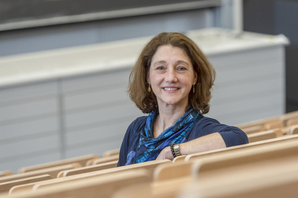 Dr. Diane Hessler Bittl kennt alle Details und löst jedes Raumproblem.