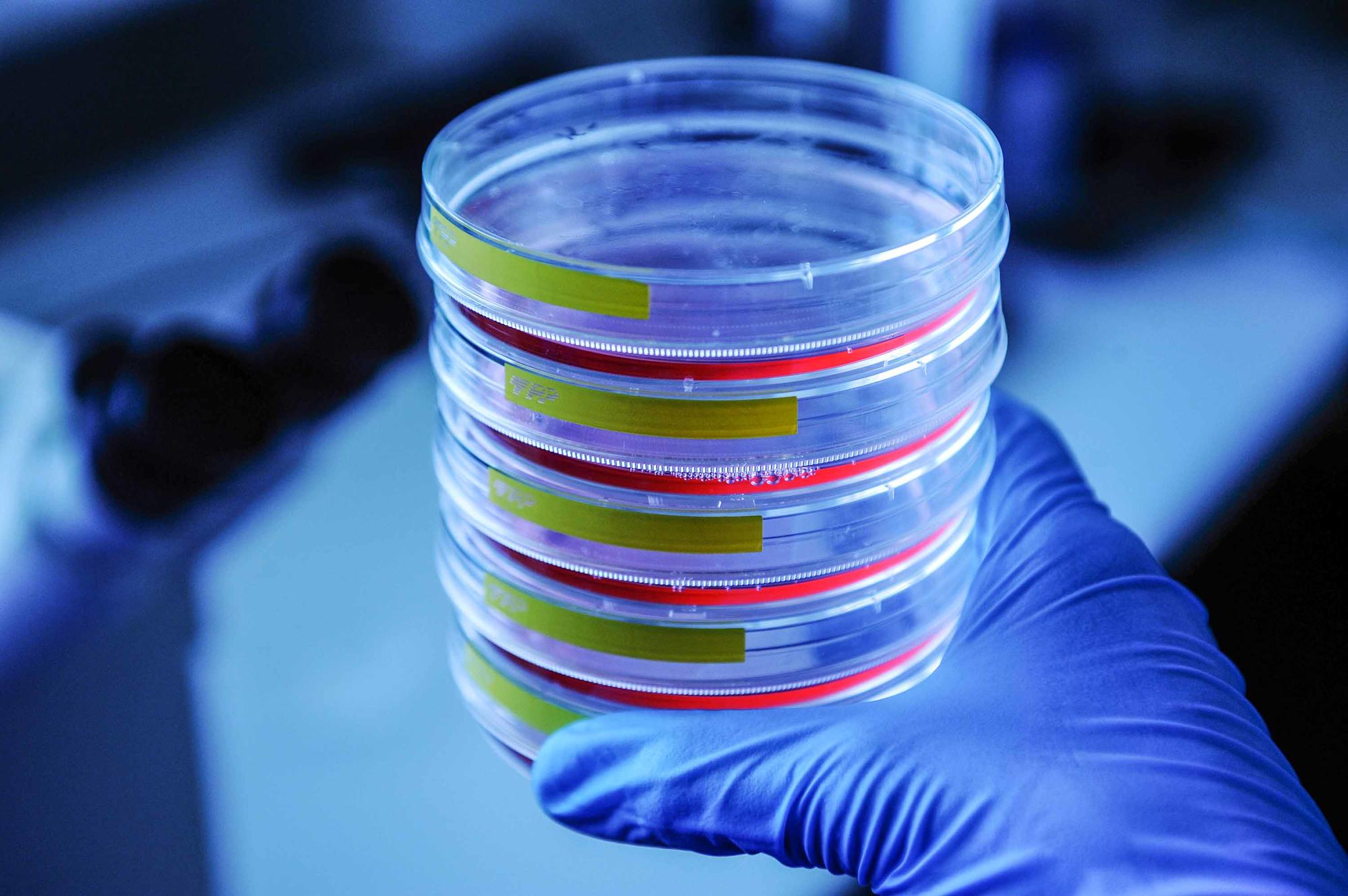 Chemikalien aus dem Labor können exportkontrollrechtlich relevant sein.