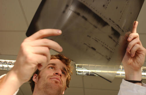 Baupläne entschlüsseln: Die Wissenschaftler am Max-Planck-Institut für molekulare Genetik untersuchen die Funktion und Rolle von Genen beim Menschen.