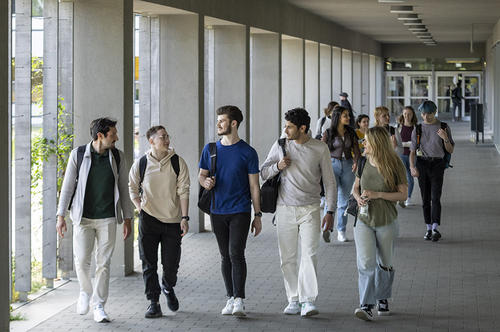 Studierende auf dem Campus