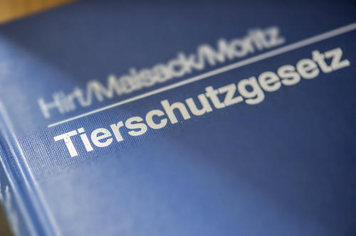 Das Tierschutzgesetz dient dazu, „aus der Verantwortung des Menschen für das Tier als Mitgeschöpf dessen Leben und Wohlbefinden zu schützen“
