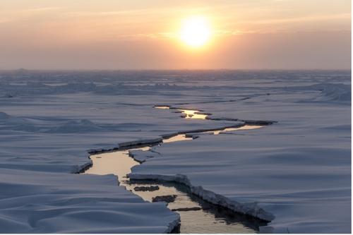 Alfred-Wegener-Institut (CC-BY 4.0)