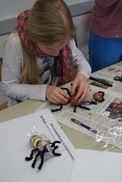 Workshop: Die Wunderwelt der Bienen und das Geheimnis unseres Überlebens!