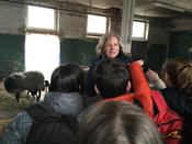 Beim Workshop "Ökologische Landwirtschaft und artgerechte Tierhaltung hautnah erleben" im März 2019; Foto: Cora Ksynzik