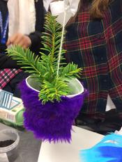 Beim Workshop "Was wächst denn da? Entdecke die essbare Stadt" im März 2019