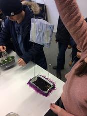 Beim Workshop "Was wächst denn da? Entdecke die essbare Stadt" im März 2019