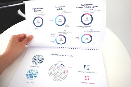 Infografiken für den Einsatz in der Beratung