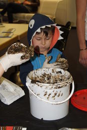 Lange Nacht der Wissenschaften: "Saatbälle to go"