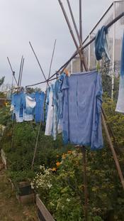 Botanische Nacht 2019