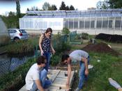 Bildergalerie_Der_Balkon_1