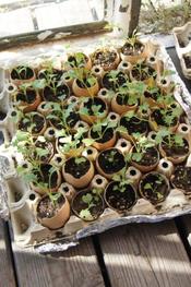 Kreative Weiterverwertung