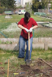 Am 06.04.2014 enstand mit Fleiß und Schweiß das erste Hügelbeet!
