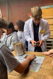 Bienen, Honig und Met