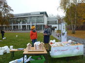 Blumenpflanzen für die Wildbienen!