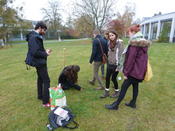 Blumenpflanzen für die Wildbienen!