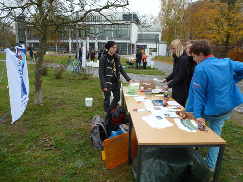 Infostand