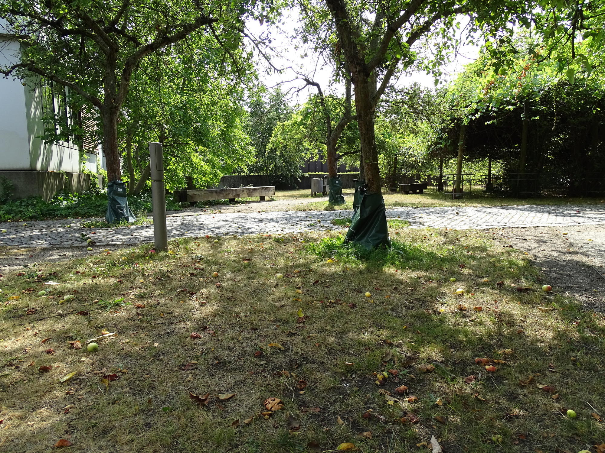 Die Trockenheit macht sich bemerkbar