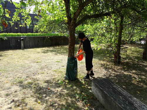 Unsere Freiwilligen helfen beim Gießen