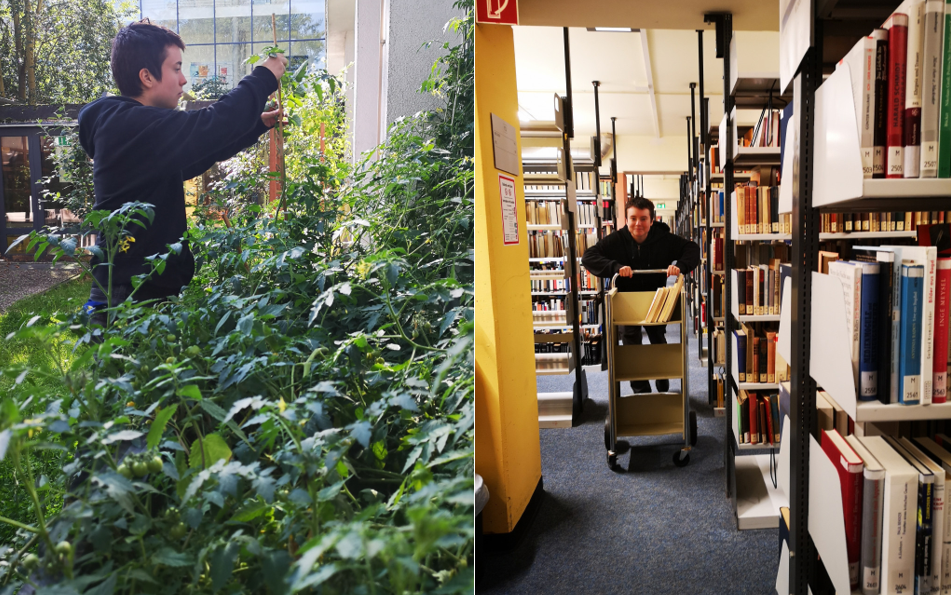 Fachrichtung Bibliothek