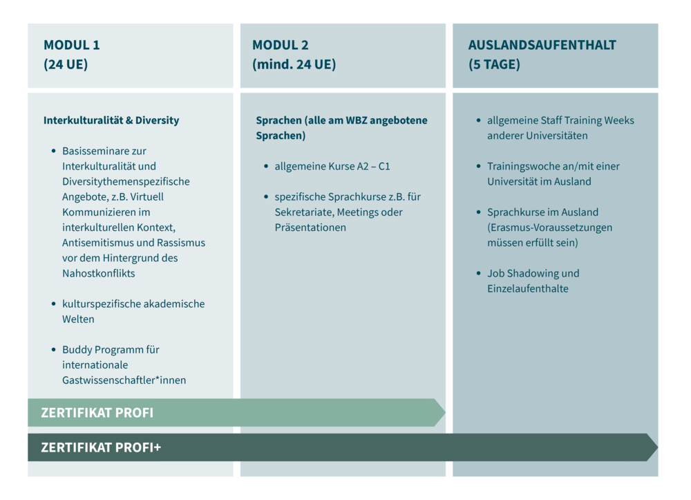 Visualisierung des Aufbaus von ProFI