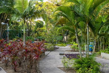PUC Rio Campus