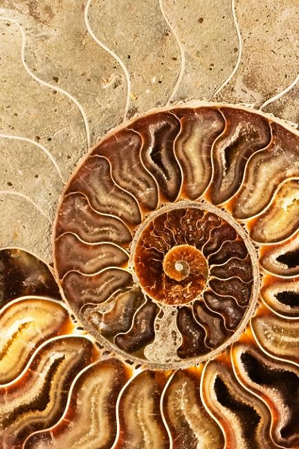 pexels-jason-stewart-2831705-6452139